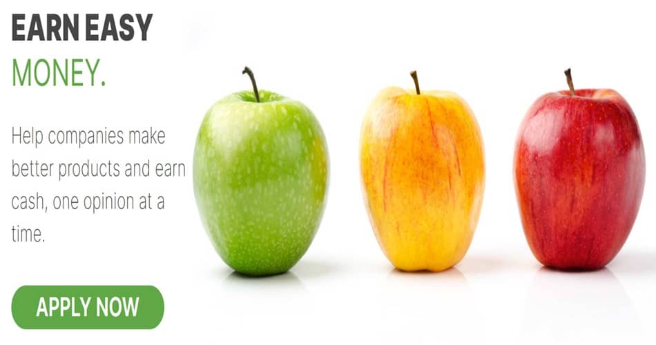 OneOpinion Inscription